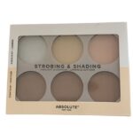 ABSOLUTE NEW YORK STROBING AND SHADING HIGHLIGHT & CONTOUR