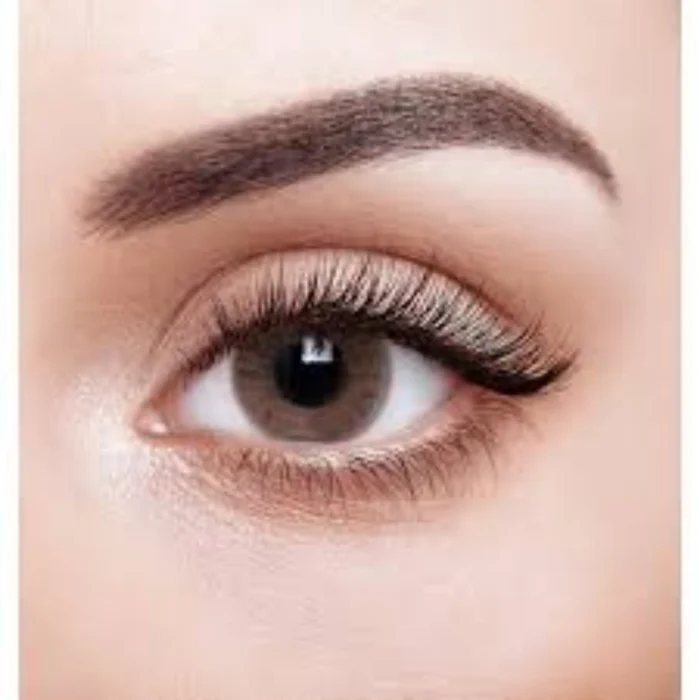 VIVA LOOK LENTILLES 1 SEMAINE 41 ROYAL CARAMEL