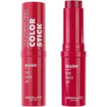 ABSOLUTE MULTIFACED COLOR STICK 06