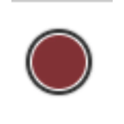 ABSOLUTE NEW YORK GLIDE & GLAM GEL LIP LINER CRAYON GEL LÈVRES 11 SOFT-ROSE