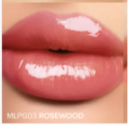 ABSOLUT LIP PLUMP 03 ROSEMOOP